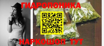 ешки Будённовск