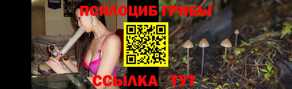 Петровск  Галлюциногенные грибы Magic Shrooms  Псилоцибиновые грибы MAGIC MUSHROOMS  Вход с VPN 